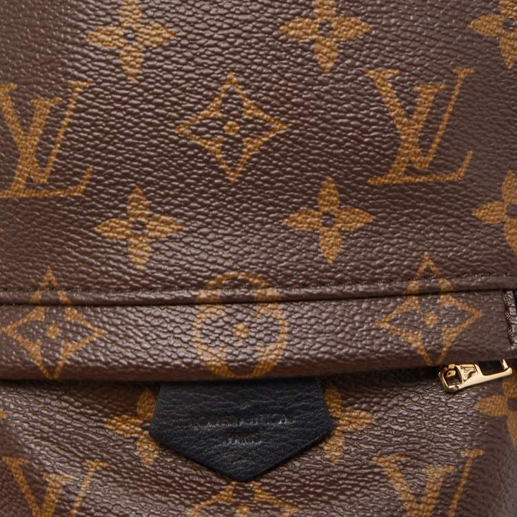 Pre Owned Louis Vuitton Monogram Canvas Palm Springs Mini Backpack