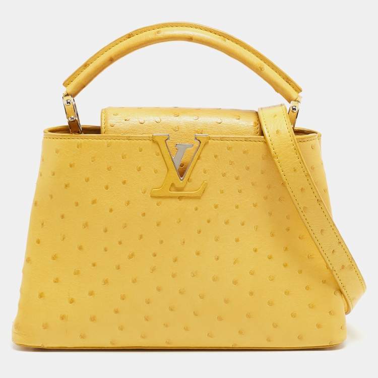 Louis Vuitton Capucines in Ostrich leather, a collector's piece? 