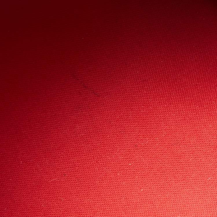 Pre Owned Louis Vuitton Damier Ebene Canvas Speedy 25 Bag