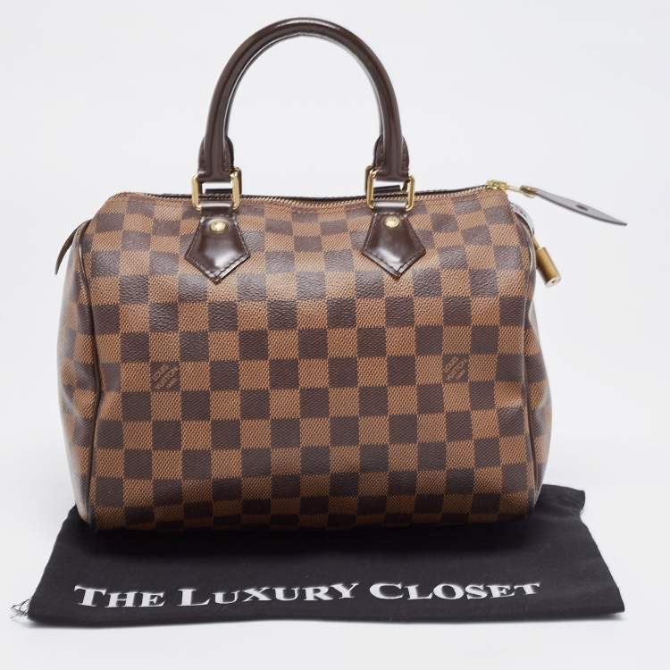 Pre Owned Louis Vuitton Damier Ebene Canvas Speedy 25 Bag