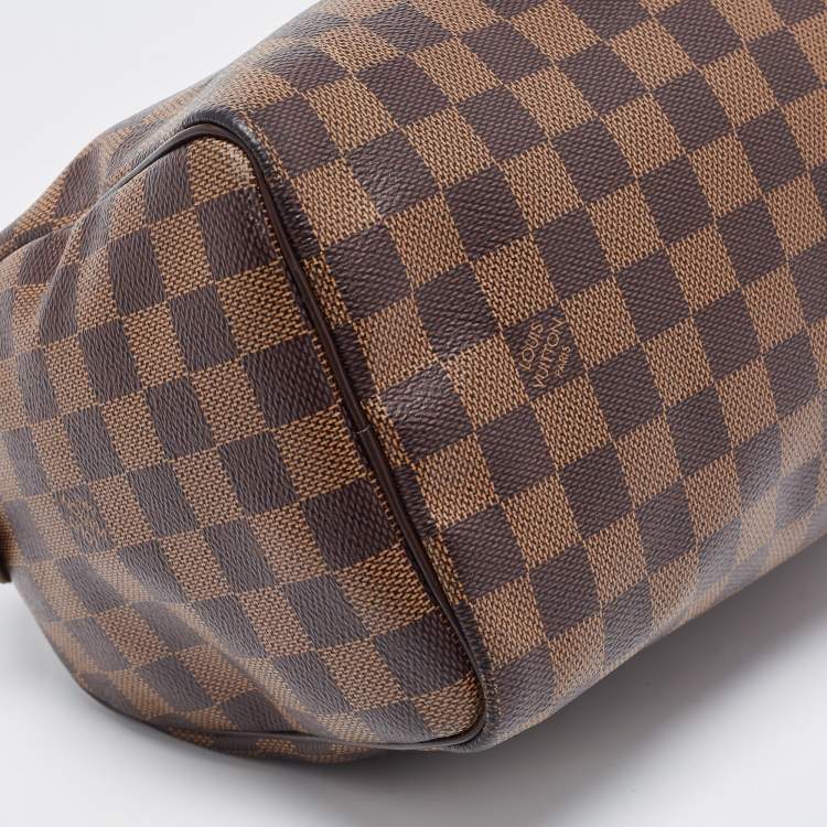 Pre Owned Louis Vuitton Damier Ebene Canvas Speedy 25 Bag