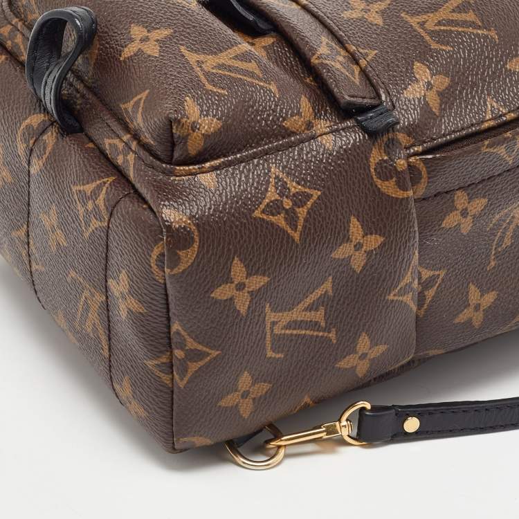 مملوكة مسبقًا Louis Vuitton Monogram Canvas Mini Palm Springs Backpack