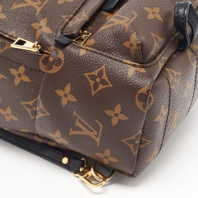 مملوكة مسبقًا Louis Vuitton Monogram Canvas Mini Palm Springs Backpack