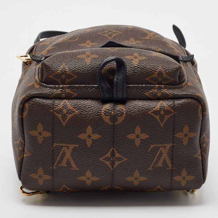 مملوكة مسبقًا Louis Vuitton Monogram Canvas Mini Palm Springs Backpack