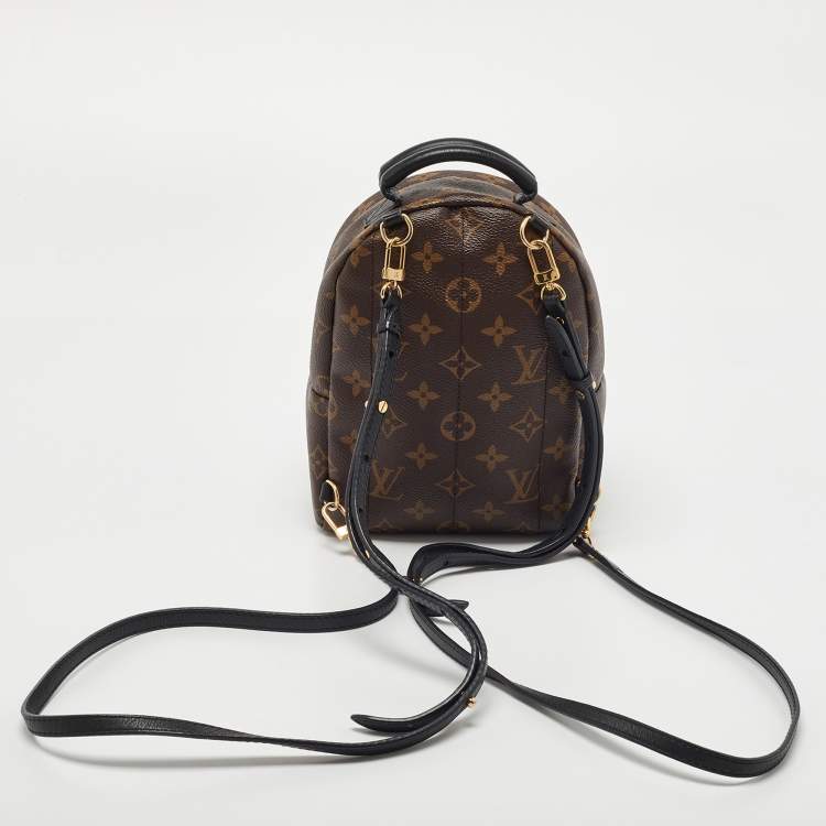 مملوكة مسبقًا Louis Vuitton Monogram Canvas Mini Palm Springs Backpack