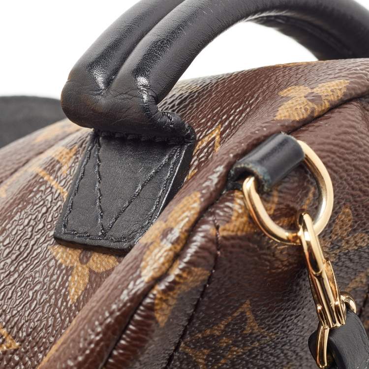 مملوكة مسبقًا Louis Vuitton Monogram Canvas Mini Palm Springs Backpack