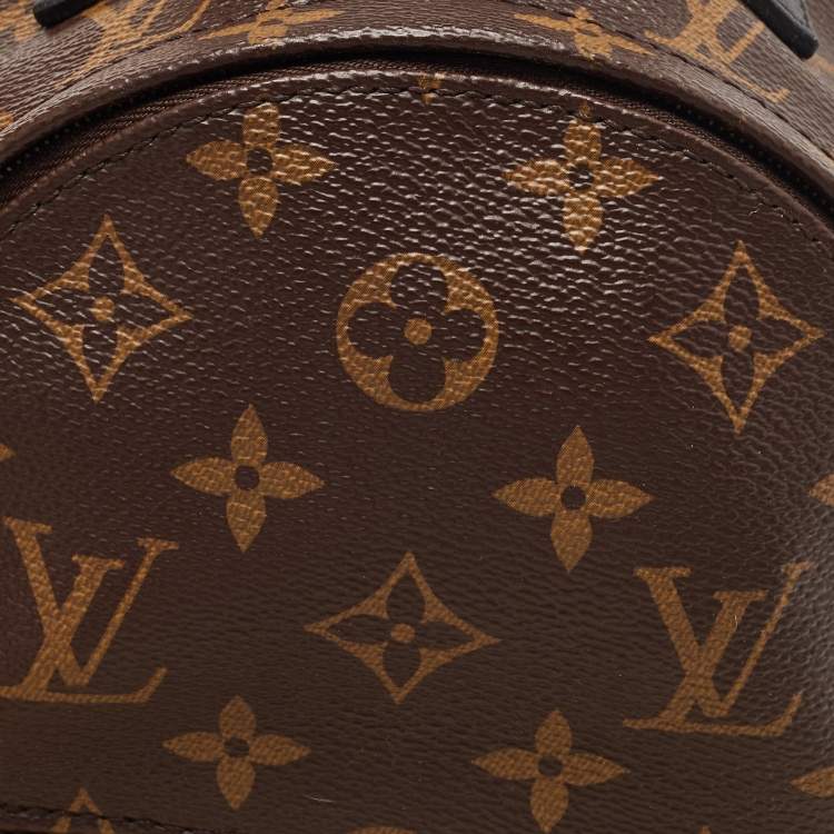 مملوكة مسبقًا Louis Vuitton Monogram Canvas Mini Palm Springs Backpack