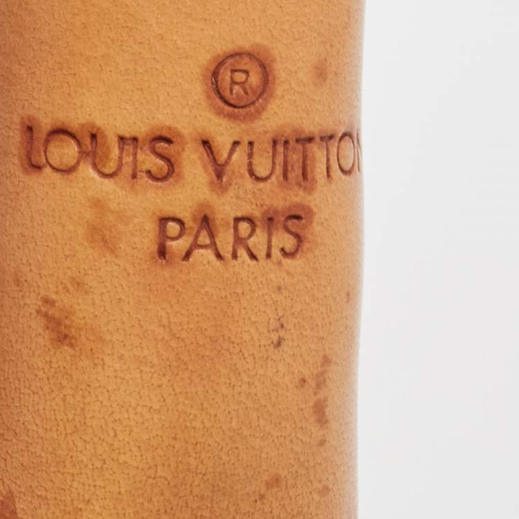 Pre Owned Louis Vuitton Tan/Navy Blue Monogram Nylon Limited Edition Bulles MM Bag