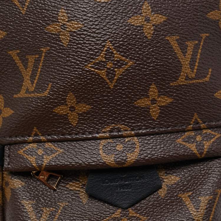 Pre Owned Louis Vuitton Monogram Canvas Mini Palm Springs Backpack