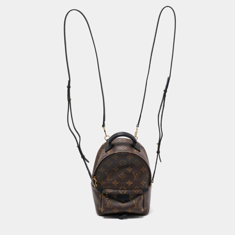 Pre Owned Louis Vuitton Monogram Canvas Mini Palm Springs Backpack