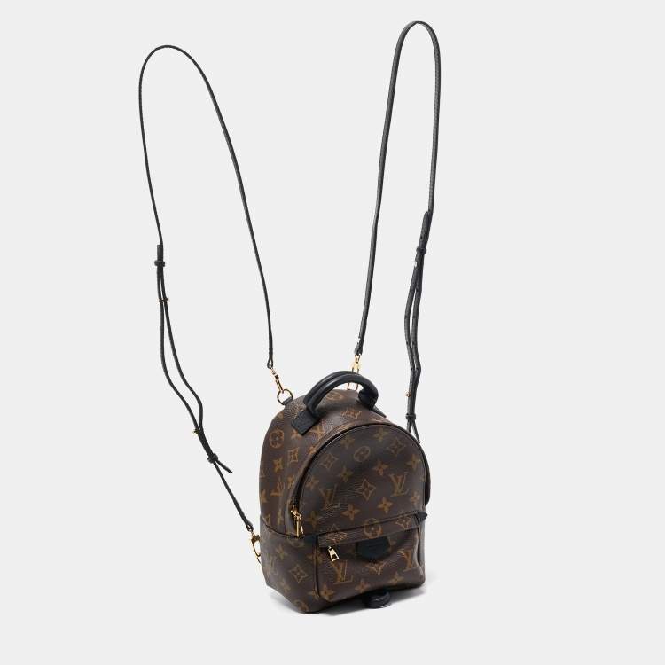 Pre Owned Louis Vuitton Monogram Canvas Mini Palm Springs Backpack