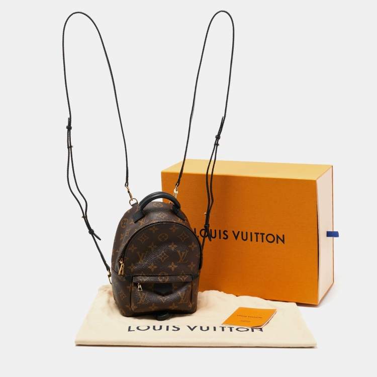 Pre Owned Louis Vuitton Monogram Canvas Mini Palm Springs Backpack