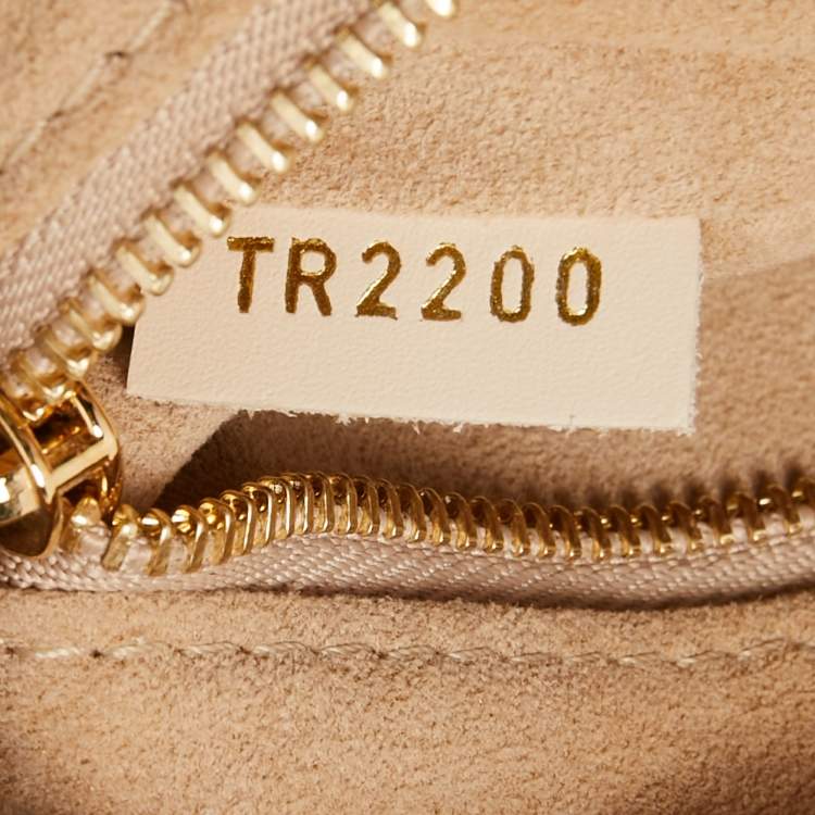 Pre Owned Louis Vuitton Neige Monogram Empreinte Leather Petite Malle Souple Bag
