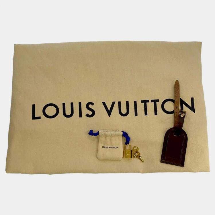 Pre Owned Louis Vuitton Brown Damier Ebene Canvas Monogram Neo Eole 65 Bag