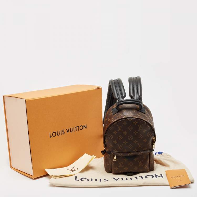 Pre Owned Louis Vuitton Monogram Canvas Palm Springs PM Backpack