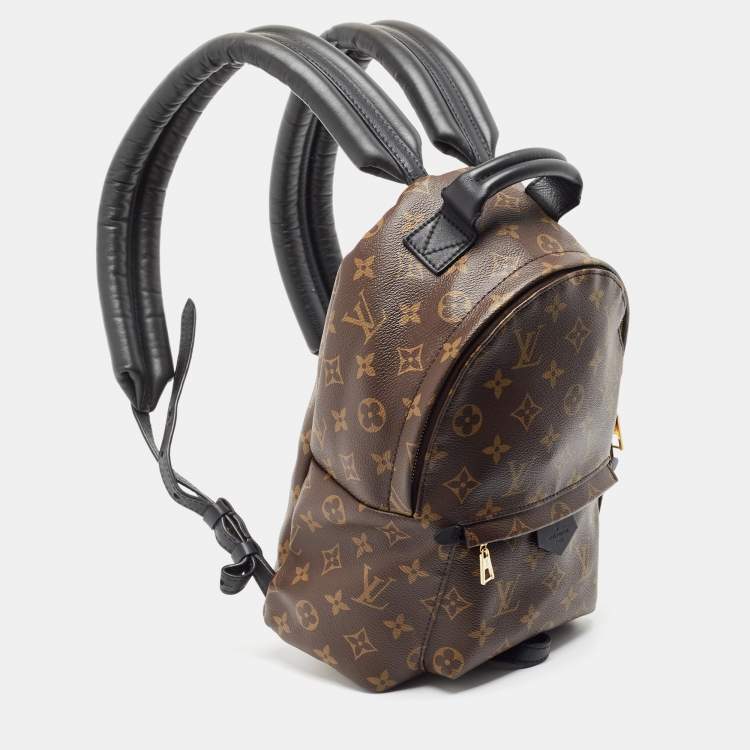 Pre Owned Louis Vuitton Monogram Canvas Palm Springs PM Backpack