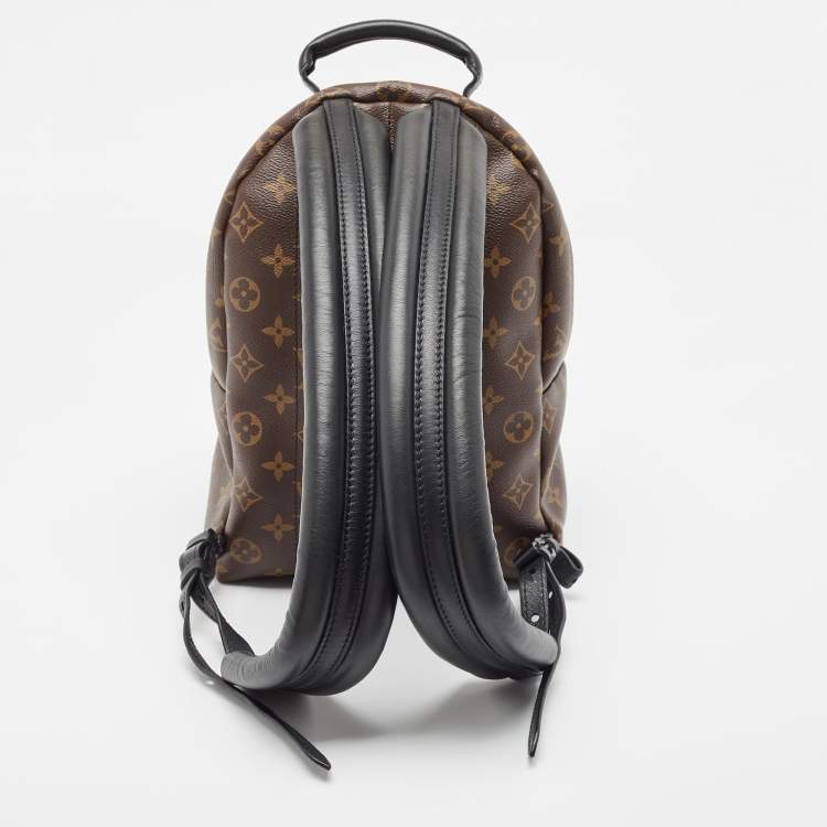 Pre Owned Louis Vuitton Monogram Canvas Palm Springs PM Backpack