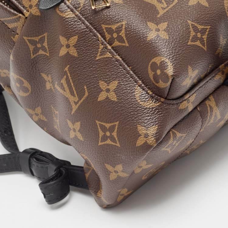 Pre Owned Louis Vuitton Monogram Canvas Palm Springs PM Backpack