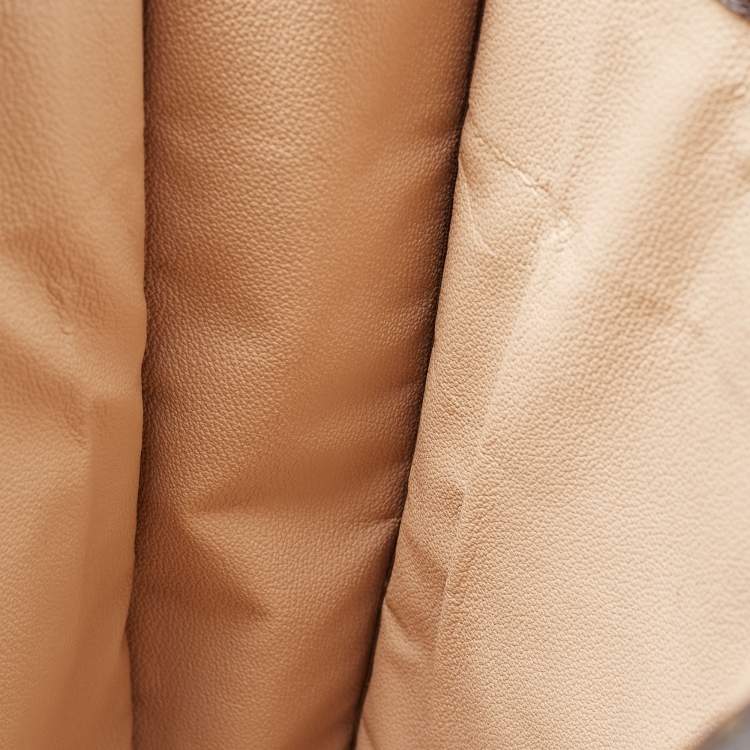 Pre Owned Louis Vuitton Monogram Canvas Sac Plat Tote