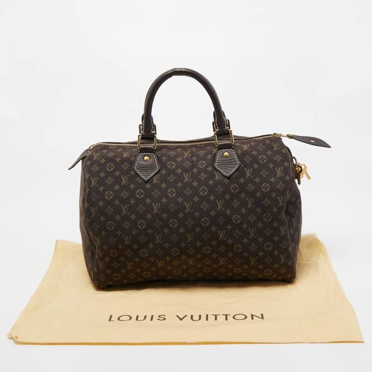 Pre Owned Louis Vuitton Fusain Monogram Mini Lin Canvas Speedy 30 Bag