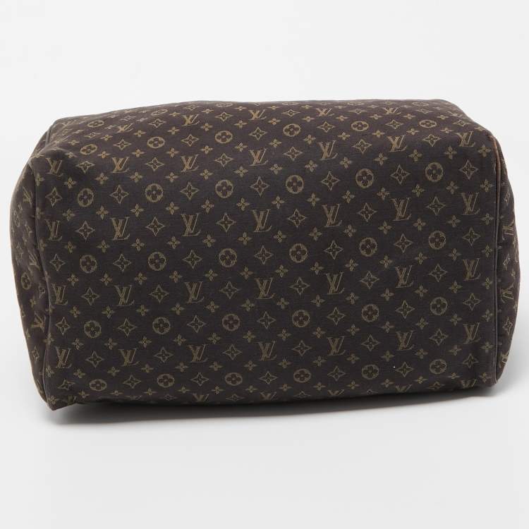 Pre Owned Louis Vuitton Fusain Monogram Mini Lin Canvas Speedy 30 Bag