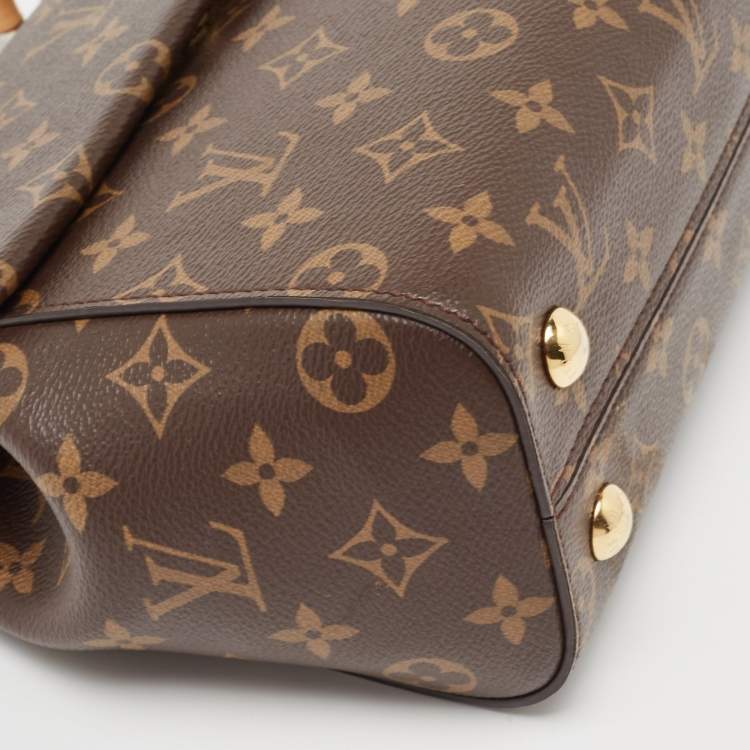 Pre Owned Louis Vuitton Monogram Canvas and Leather Cluny BB Bag