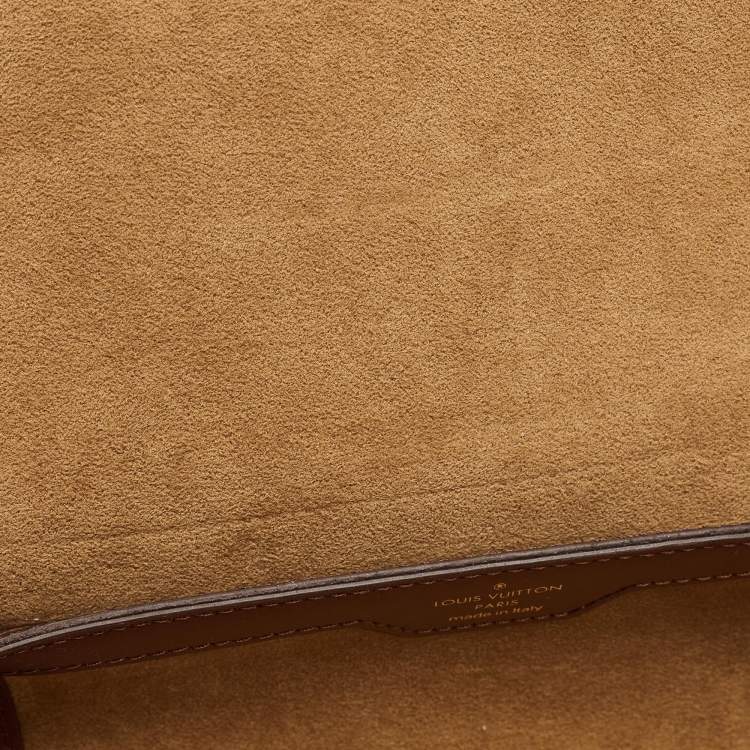 Pre Owned Louis Vuitton Monogram Canvas Papillon Trunk Bag