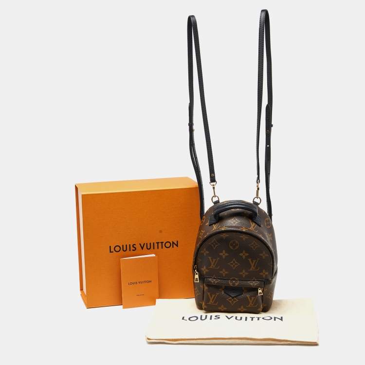 Pre Owned Louis Vuitton Monogram Canvas Palm Springs Mini Backpack