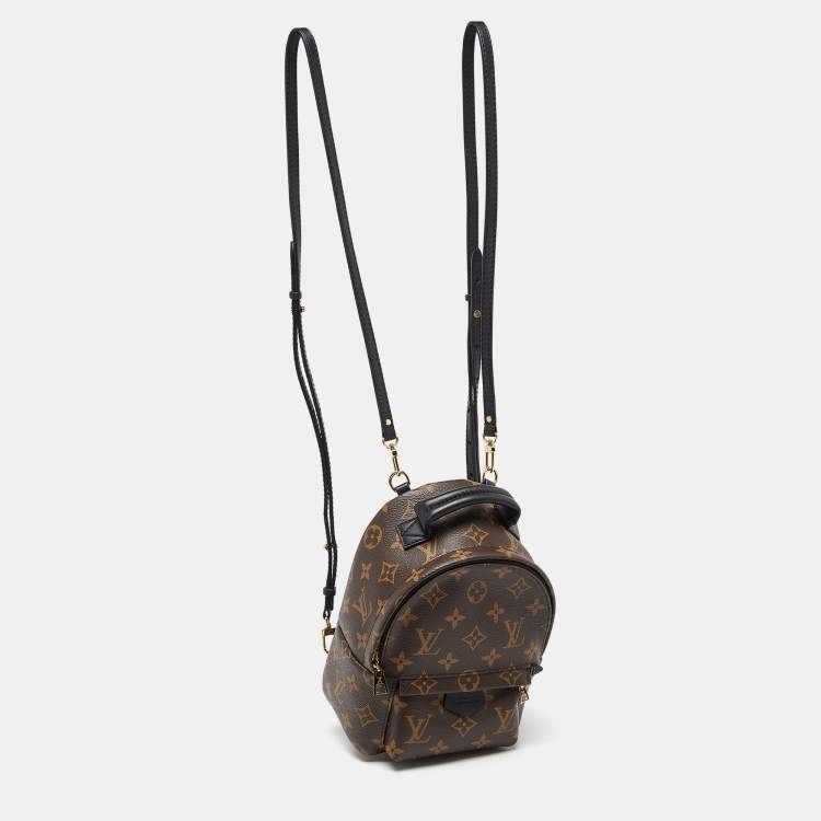 Pre Owned Louis Vuitton Monogram Canvas Palm Springs Mini Backpack
