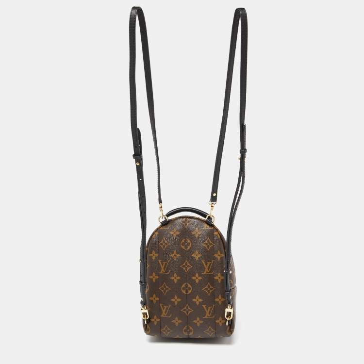 Pre Owned Louis Vuitton Monogram Canvas Palm Springs Mini Backpack