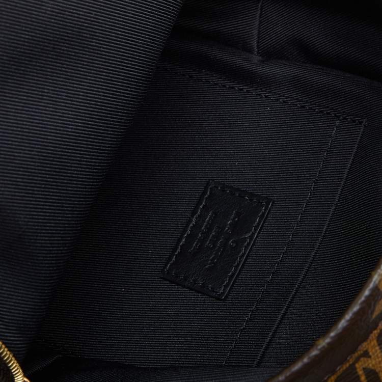 Pre Owned Louis Vuitton Monogram Canvas Palm Springs Mini Backpack