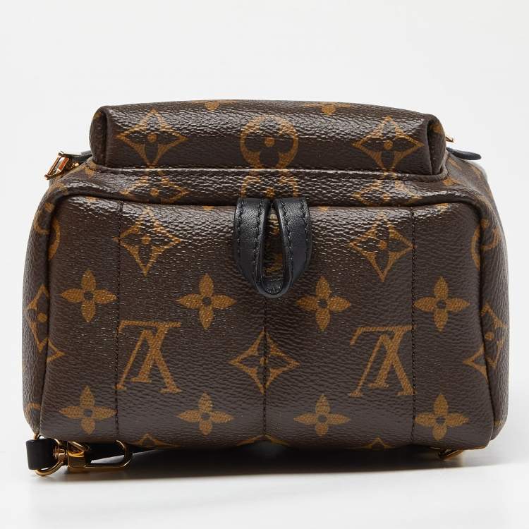 Pre Owned Louis Vuitton Monogram Canvas Palm Springs Mini Backpack