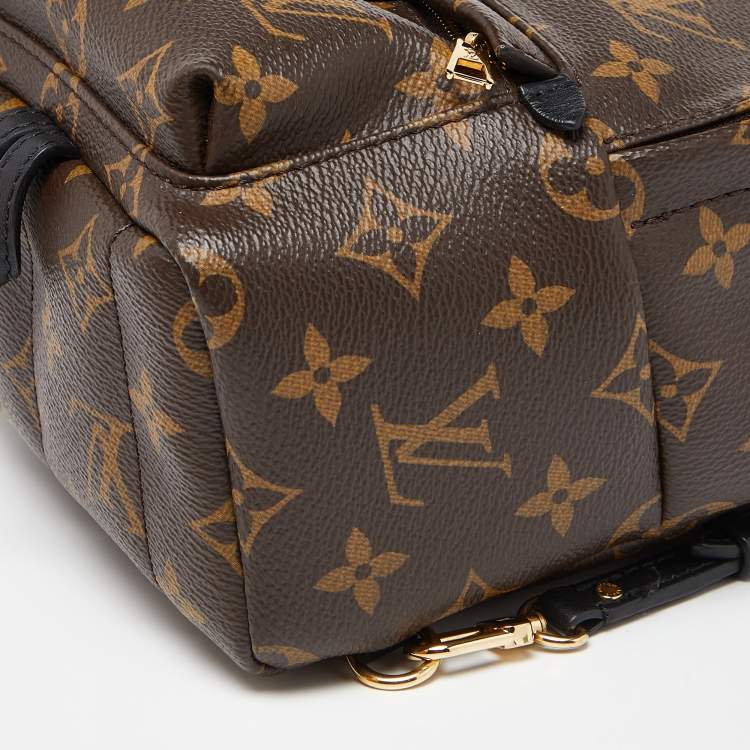 Pre Owned Louis Vuitton Monogram Canvas Palm Springs Mini Backpack