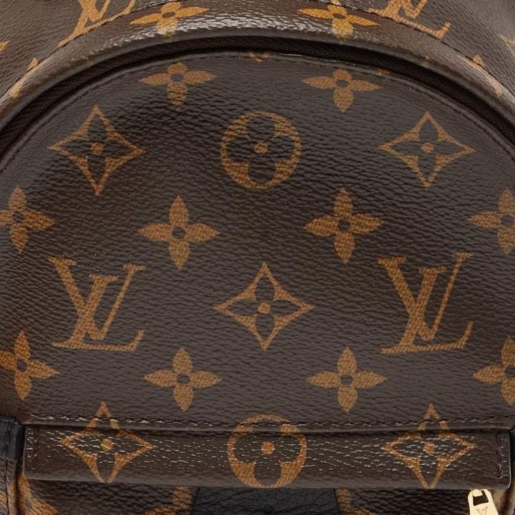 Pre Owned Louis Vuitton Monogram Canvas Palm Springs Mini Backpack