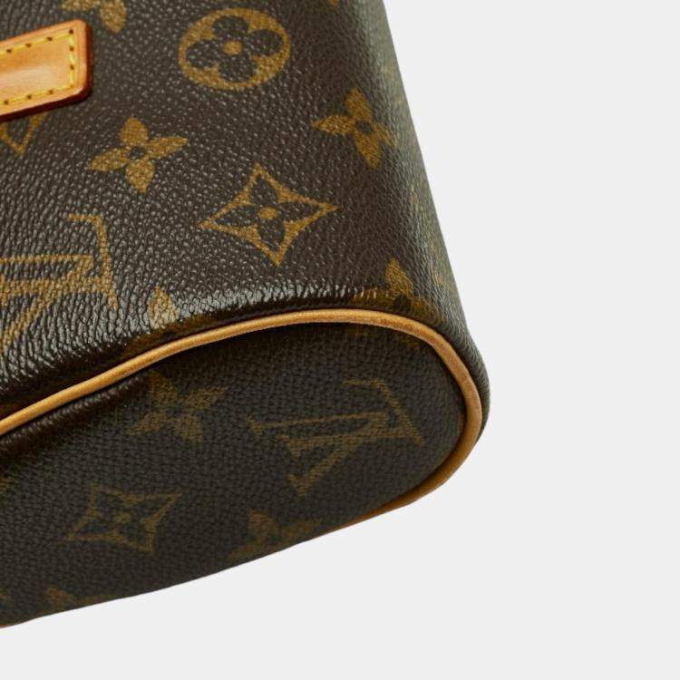 Pre Owned Louis Vuitton Brown Canvas Monogram Sonatine bag