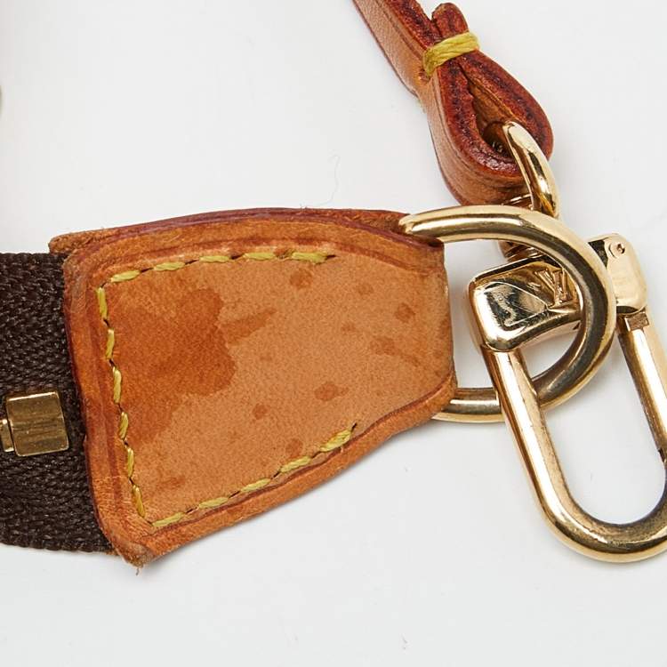 Pre Owned Louis Vuitton Monogram Canvas Cerises Print Accessories Pochette Bag