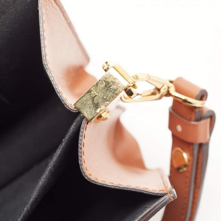 Pre Owned Louis Vuitton Monogram/Monogram Reverse Canvas Dauphine Mini Bag