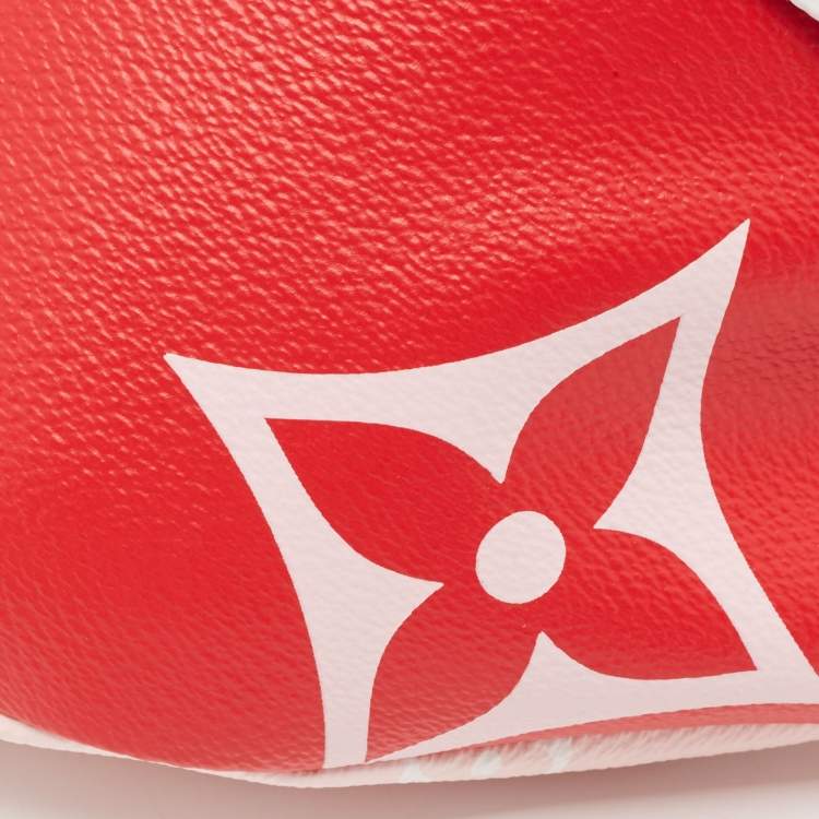 مملوكة مسبقًا Louis Vuitton Multicolor Giant Monogram Canvas Bumbag