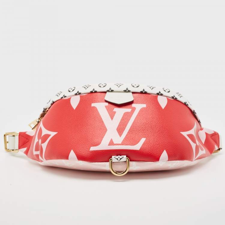مملوكة مسبقًا Louis Vuitton Multicolor Giant Monogram Canvas Bumbag