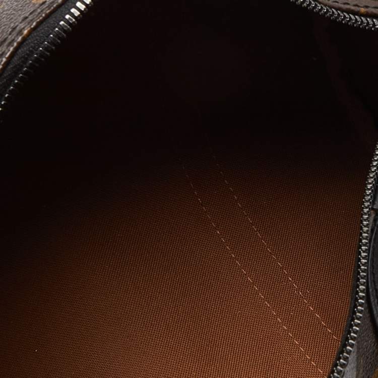 Pre Owned Louis Vuitton Monogram Solar Ray Papillon Bag