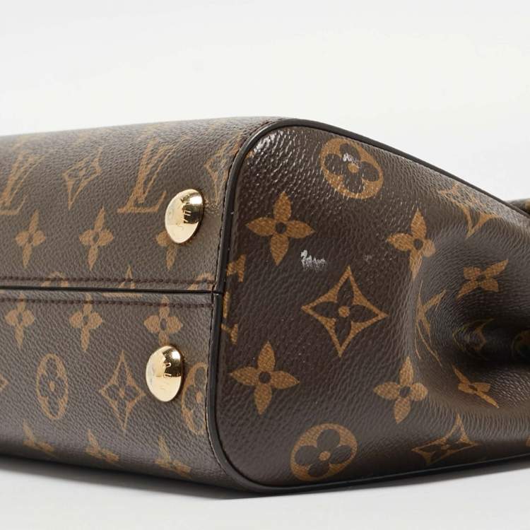 Pre Owned Louis Vuitton Monogram Canvas and Leather Cluny BB Bag