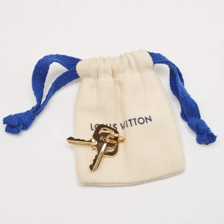Pre Owned Louis Vuitton Monogram Reverse Canvas Cannes Bag