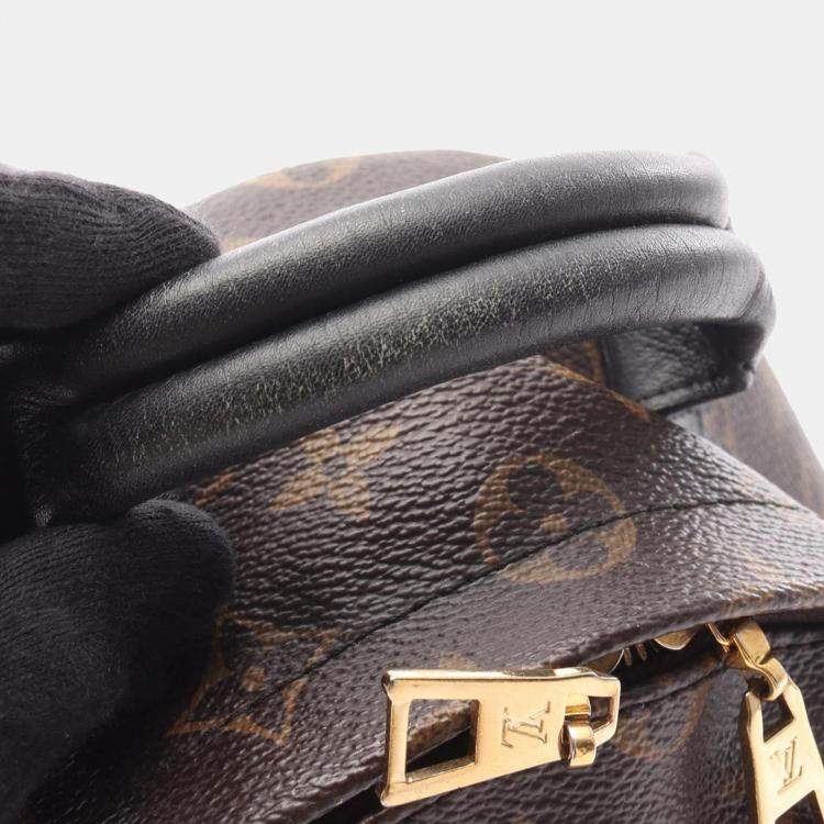 Pre Owned Louis Vuitton Monogram Palm Springs PM Backpack
