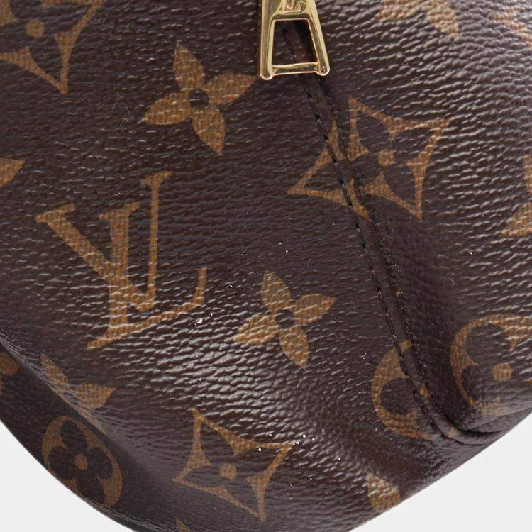 Pre Owned Louis Vuitton Monogram Palm Springs PM Backpack