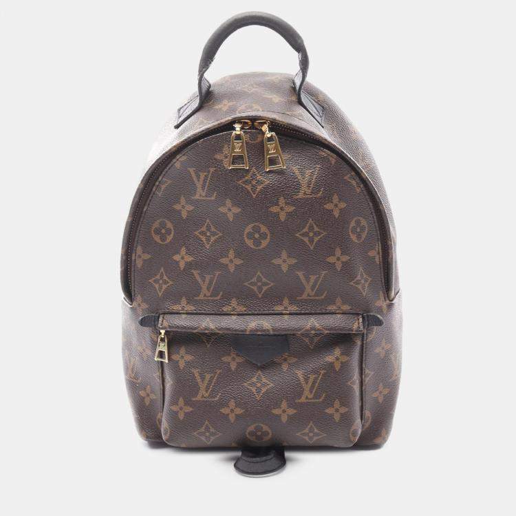 Pre Owned Louis Vuitton Monogram Palm Springs PM Backpack
