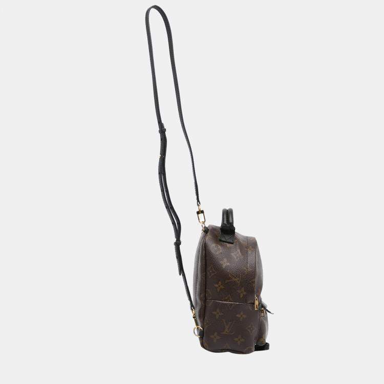 Louis Vuitton, Bags, Mini Palm Springs Backpack Dupe Brown Monogram Lv