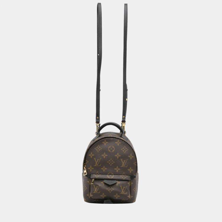 Louis Vuitton Mini Monogram Palm Springs Backpack - Brown