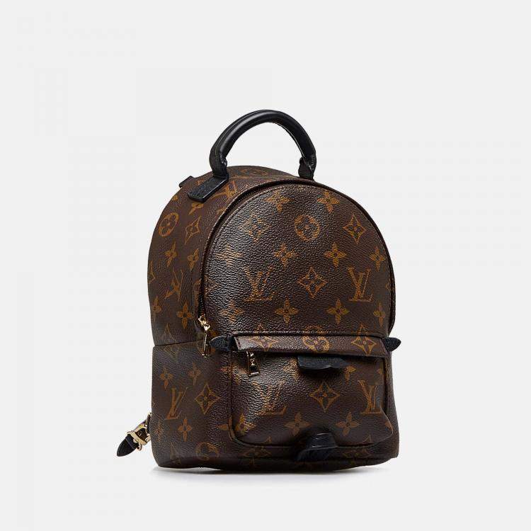 Louis Vuitton Palm Springs Mini Monogram Backpack