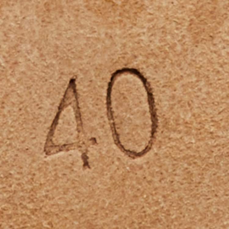 Pre Owned Manolo Blahnik Multicolor Floral Printed Canvas BB Pointed Toe Pumps Size 40