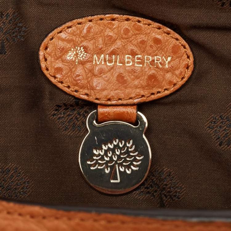 Pre Owned Mulberry Orange Grained Leather Polly Push Lock Top Handle Bag